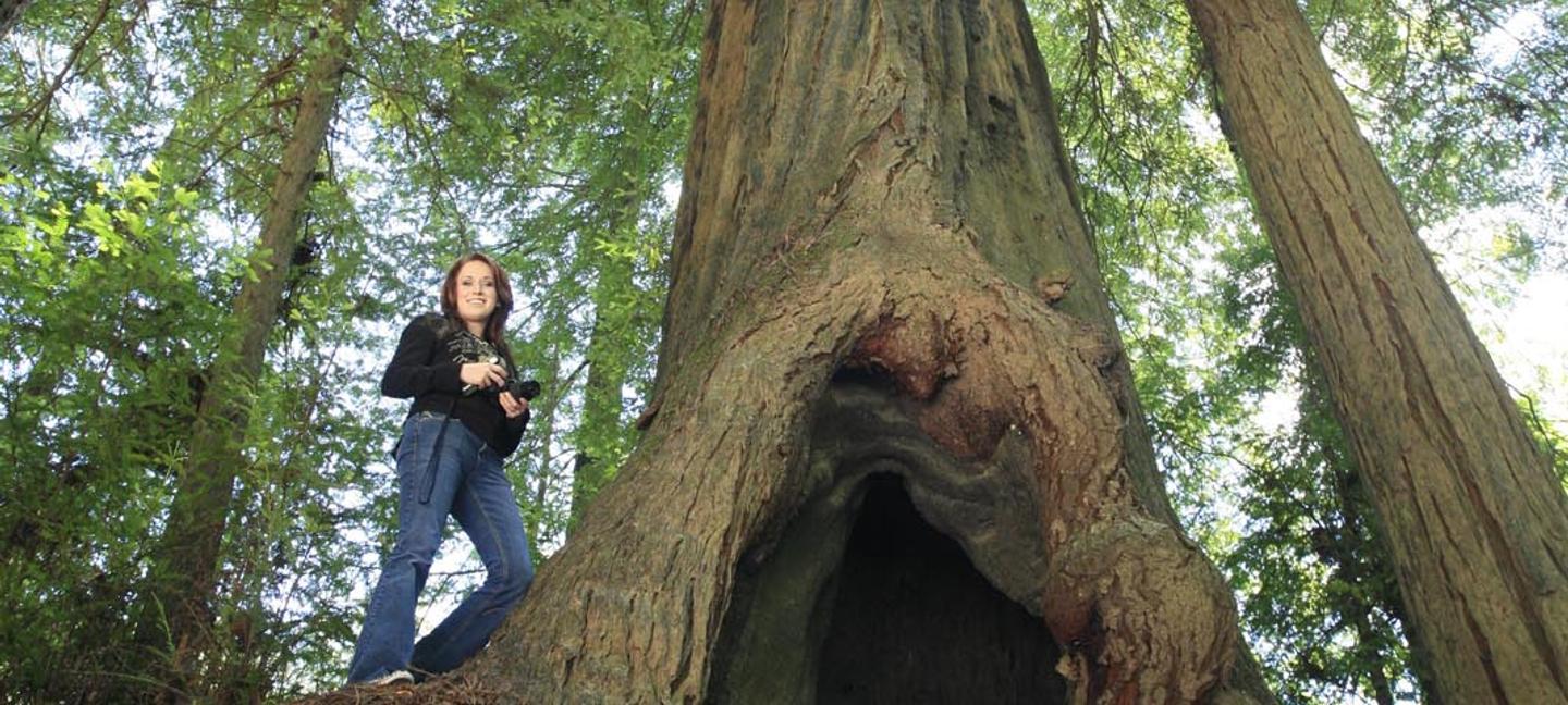 Best Western Plus Humboldt Bay Inn | Eureka, California | 1