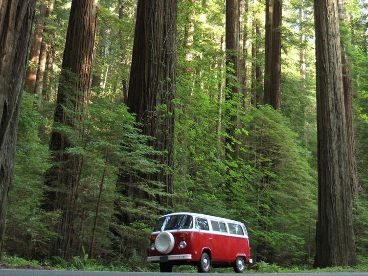 Best Western Plus Humboldt Bay Inn | Eureka, California | 7