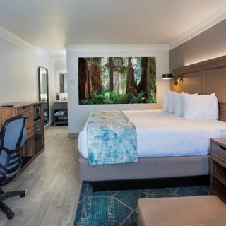 Best Western Plus Humboldt Bay Inn | Eureka, California | King bed with white pillows and multi-colored accent blanket