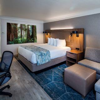 Best Western Plus Humboldt Bay Inn | Eureka, California | King bed with white pillows and multi-colored accent blanket
