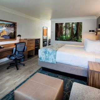 Best Western Plus Humboldt Bay Inn | Eureka, California | King bed with white pillows and multi-colored accent blanket