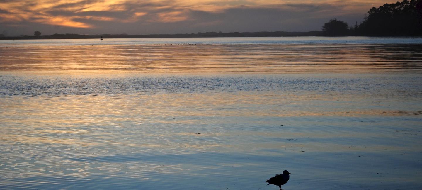 Best Western Plus Humboldt Bay Inn | Eureka, California | 1