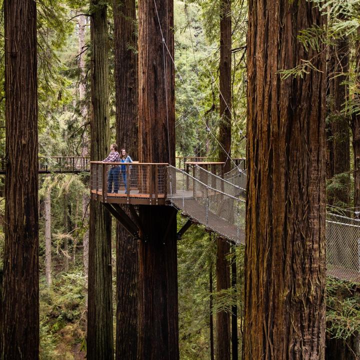 Humboldt county attractions 60 photos - Guidebookbali.com