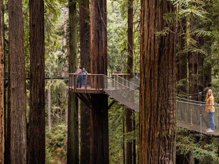 Best Western Plus Humboldt Bay Inn | Eureka, California | 2