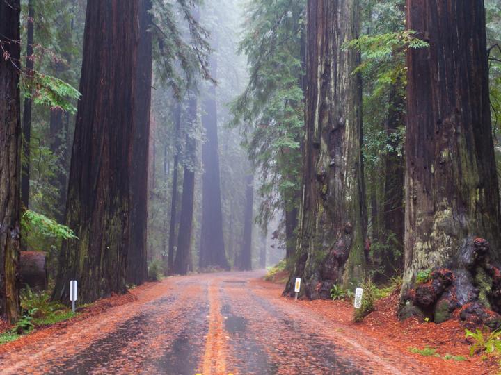 Best Western Plus Humboldt Bay Inn | Eureka, California | 3