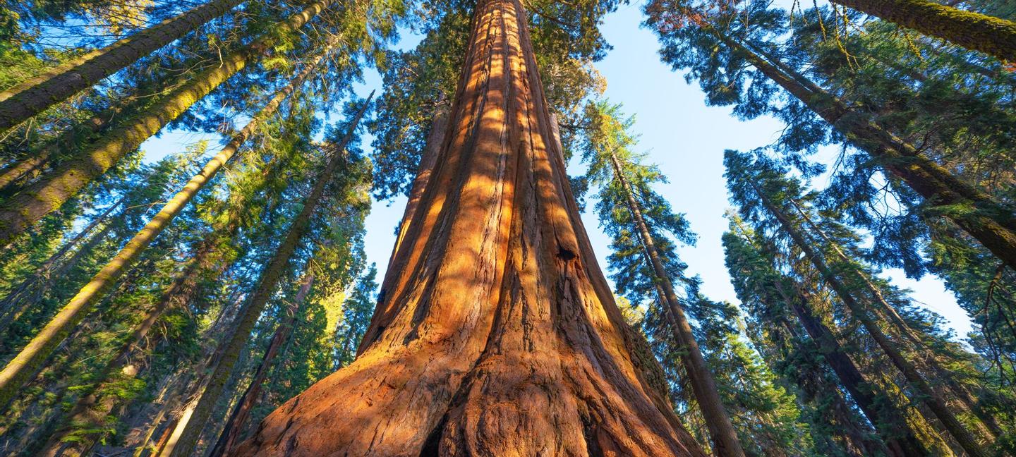 Best Western Plus Humboldt Bay Inn | Eureka, California | 2